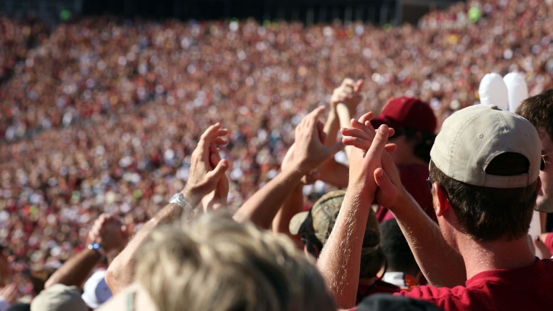 Wild Fans at Sporting Event