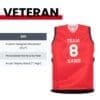 Custom Veteran Mini Jersey with Stand